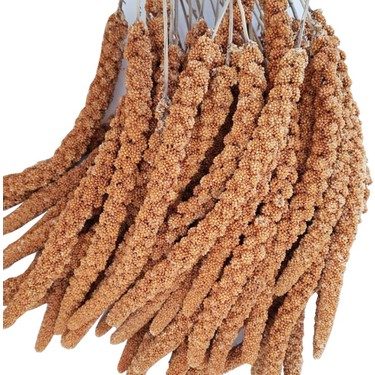 Kızıl Dal Darı 15 kg Koli