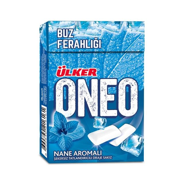 NANE FLIPTOP SAKIZ 21g 1 Adet