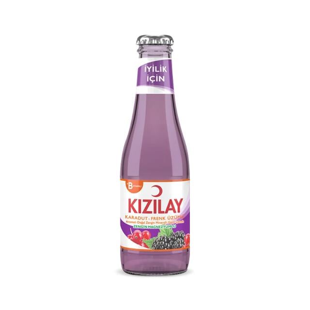 Maden Suyu Karadut-Frenk Üzümü 200ml 1 Adet