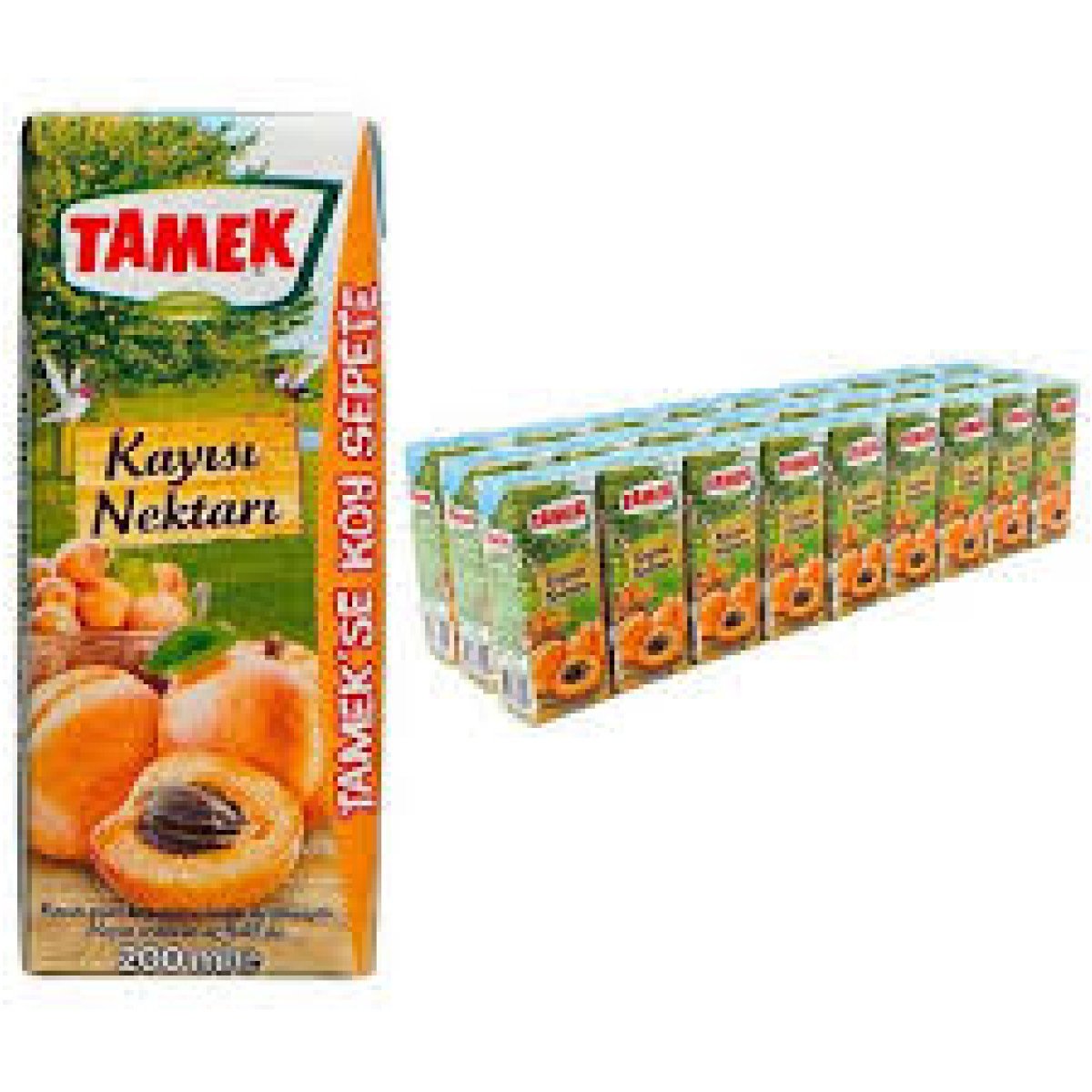TAMEK KAYISI NEKTARI 200 ML (27 Adet)