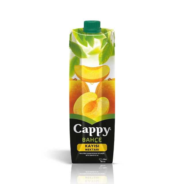 Kayısı Meyve Suyu 1 Lt. 1 Adet