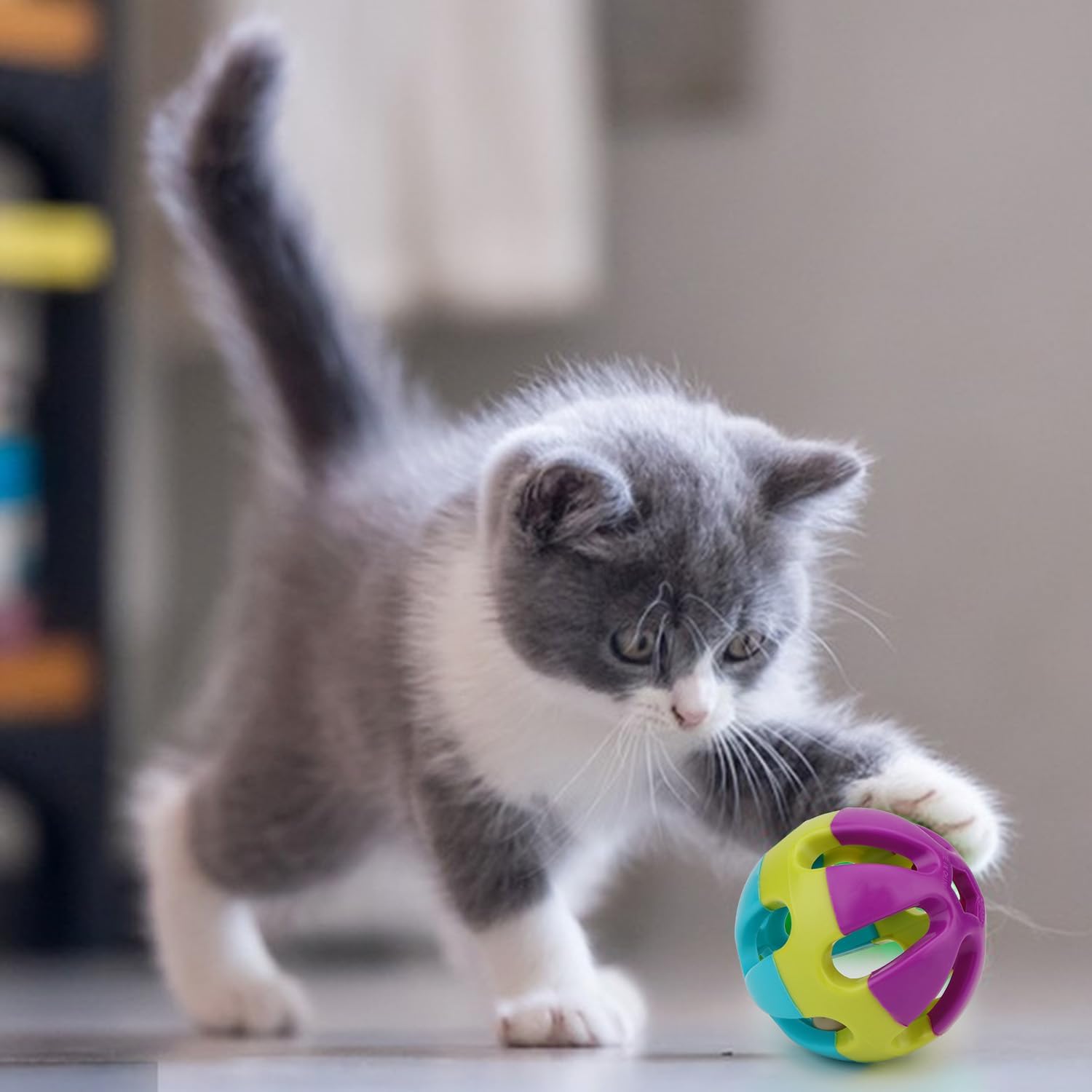Çıngıraklı Kedi Köpek Oyun Topu (Karton Askılı)