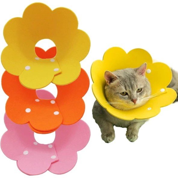 Keçeli Elizabeth Kedi ve Köpek 8’li Set