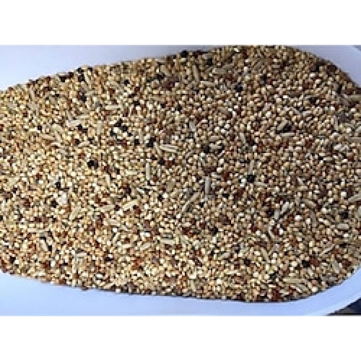 SUDE LİFE MUHABET KUŞU YEMİ 800 GR