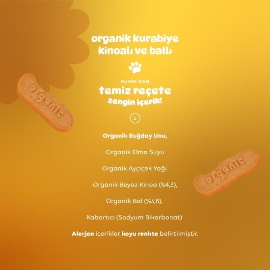 Organik Ballı ve Kinoalı Kurabiye 55 Gr