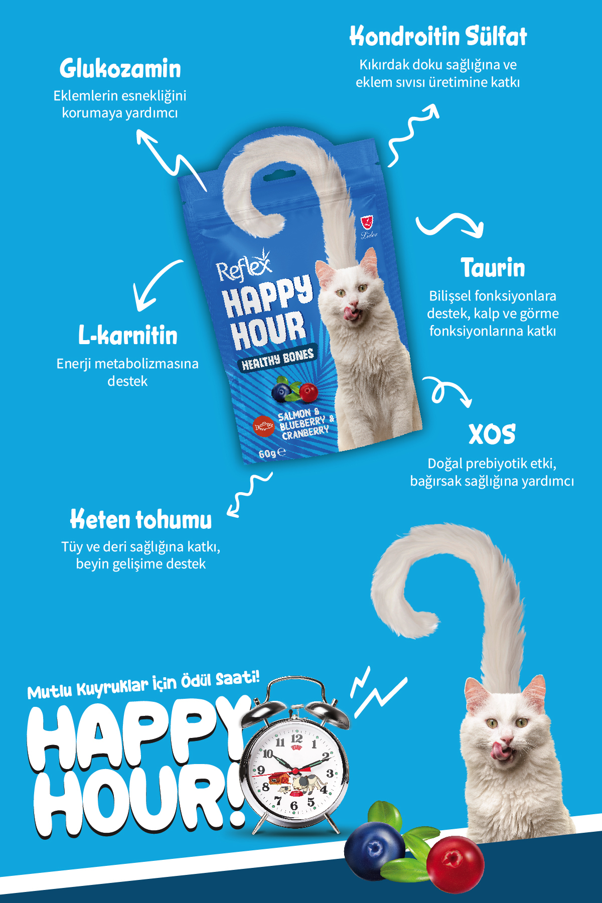 Reflex Happy Hour Somonlu ve Yaban Mersinli Destekleyici Kedi Ödülü 60 Gr