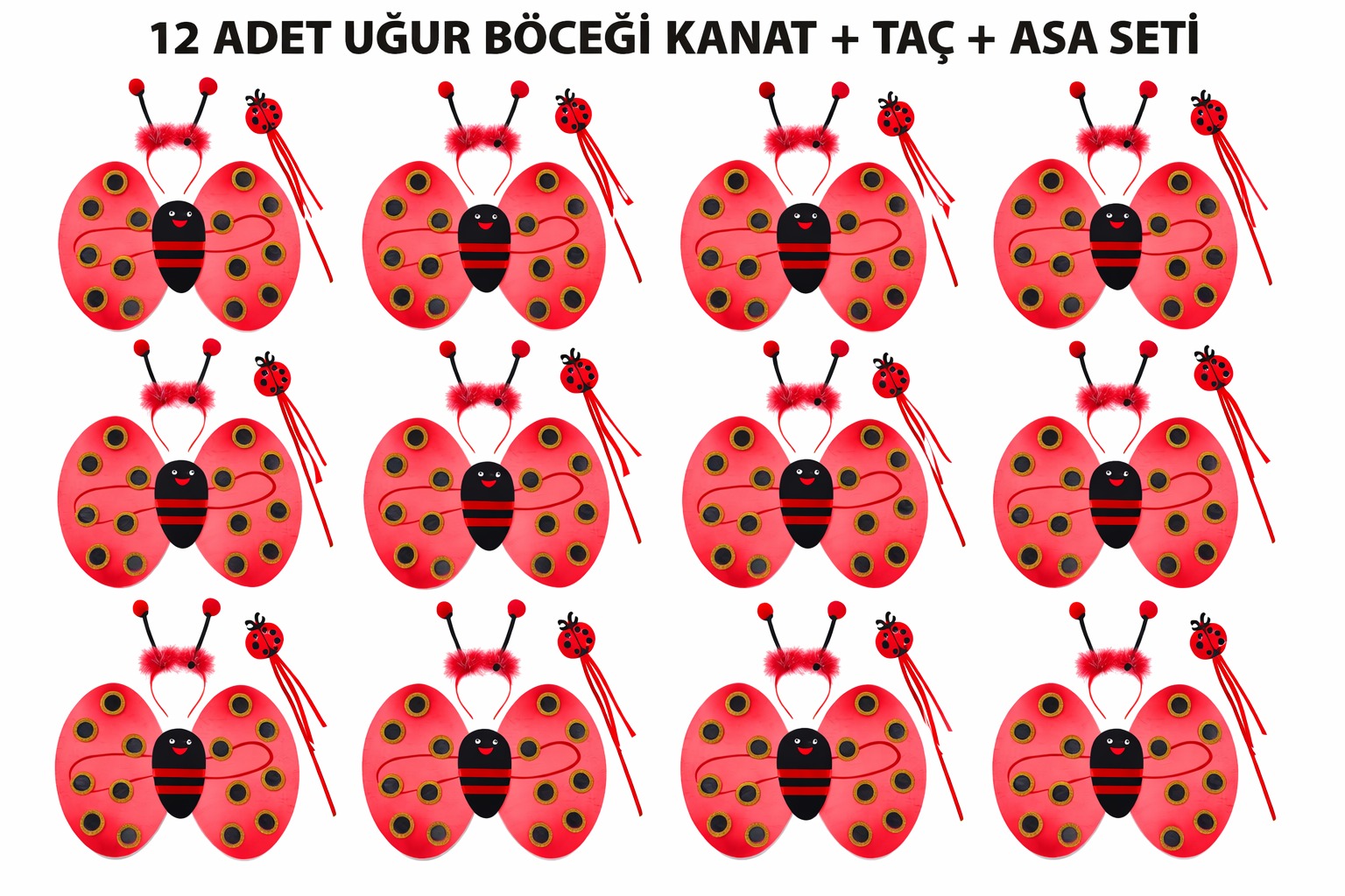 Uğur Böceği Kostüm Seti - Kanat Taç Asa 3 Parça 12 Adet
