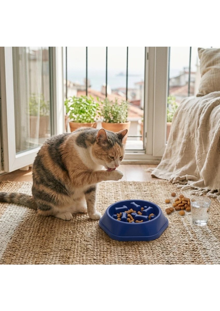 Kedi Köpek Yavaş Besleyici Mama Kabı - Anti-Boğulma &amp; Sağlıklı Beslenme - LACİVERT