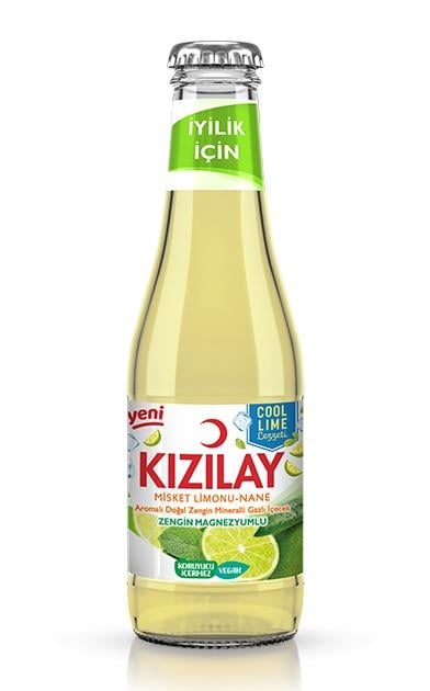 Maden Suyu Lime Nane 200ml 1 Adet