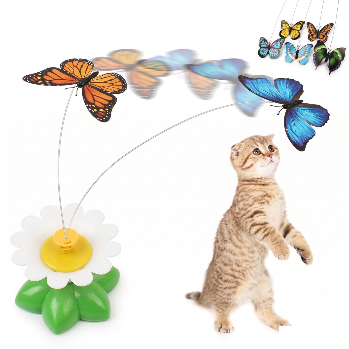 Kedi Oltası Kelebek Şekilli