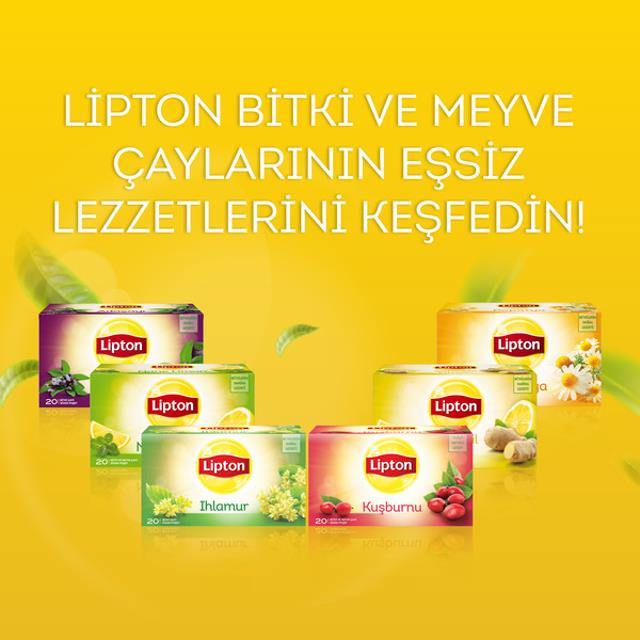 Adaçayı 20 li