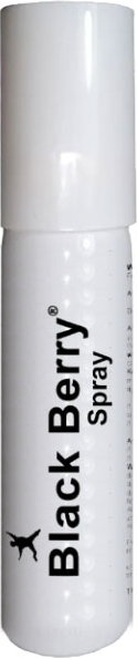 Black Berry Erkeklerin En Yeni Gecik.tiricisi Sprey