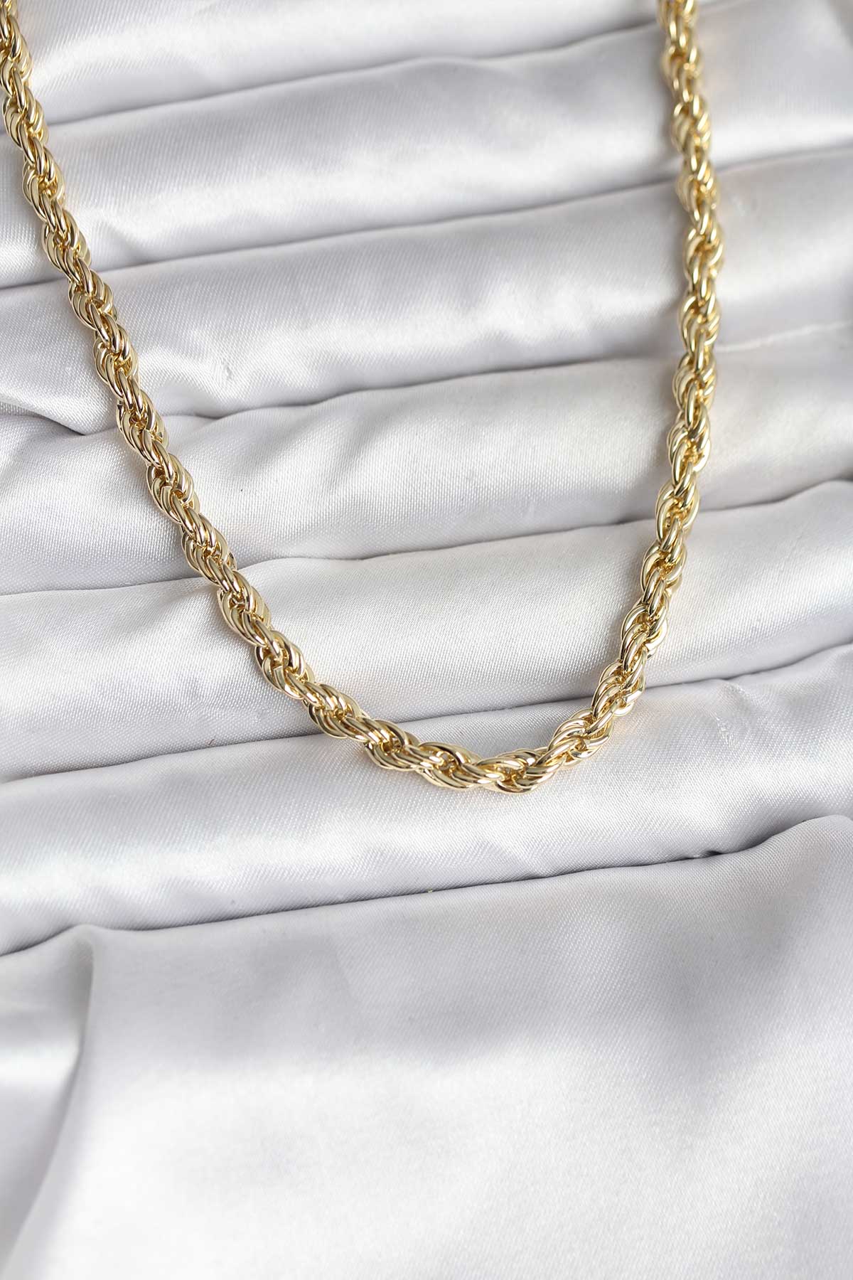 14K Gold Renk Kaplama Burgu Model CM Kadın Kolye
