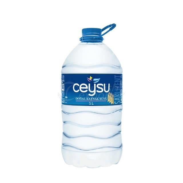 5 lt Su 1 Adet