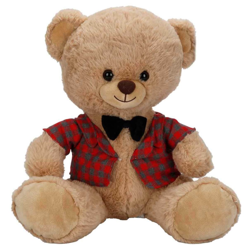 4810 PELUŞ AYI ELBİSELİ 32CM 2A