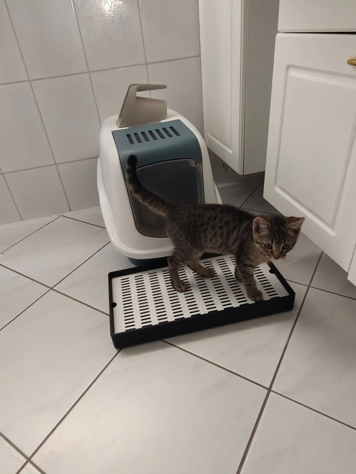 3D Baskı Kedi Kumu Tutucu Mat Kedi Tuvaleti Önü Kum Toplayıcı Delikli Paspas Siyah Beyaz