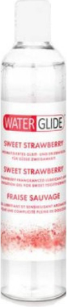 Waterglide Çilek Aromalı  Jel 400 ml / Waterglide Strawberry Flavored Lubricant Gel 400 ml