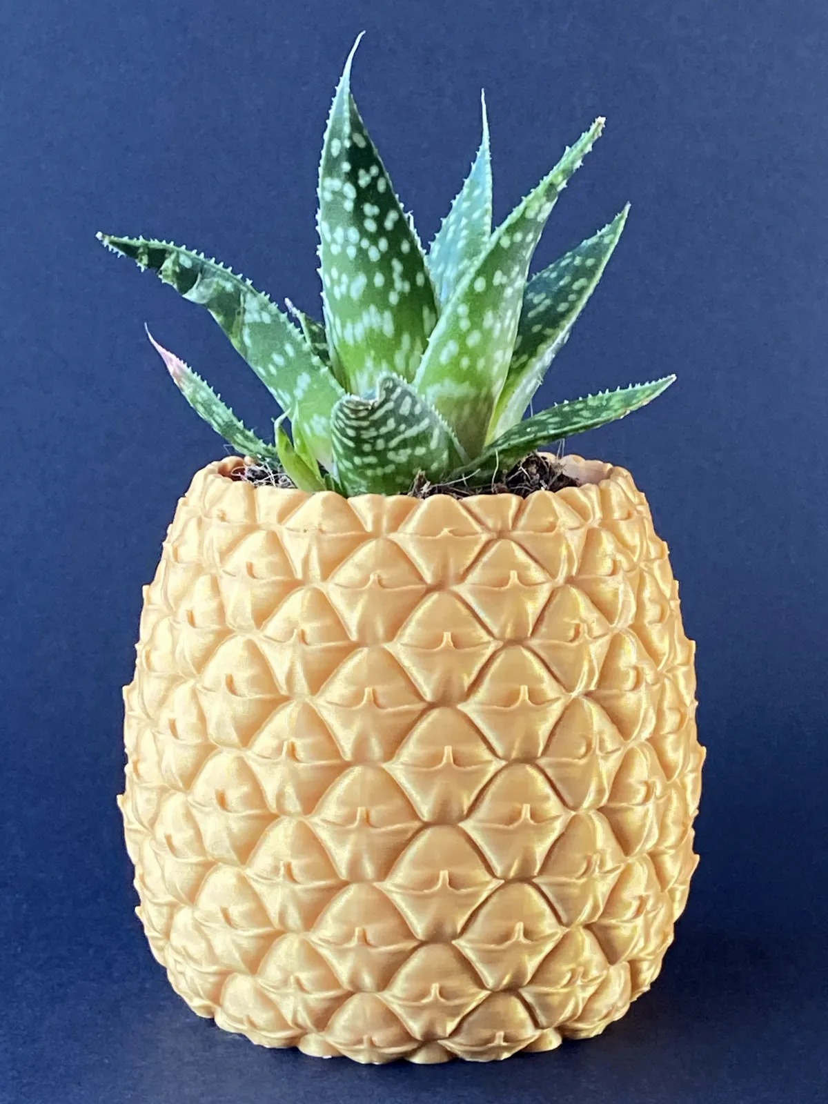3D Baskı Ananas Formlu Saksı ve Kalemlik Kabartma Dokulu Sukulent Saksısı Masaüstü Bitki ve Kalem Tutucu
