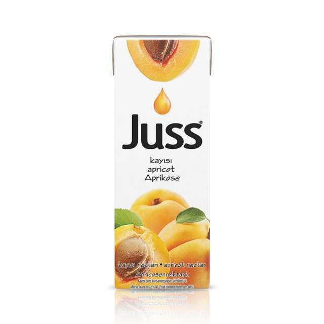 Kayısı Nektarı 200 Ml 1 Adet