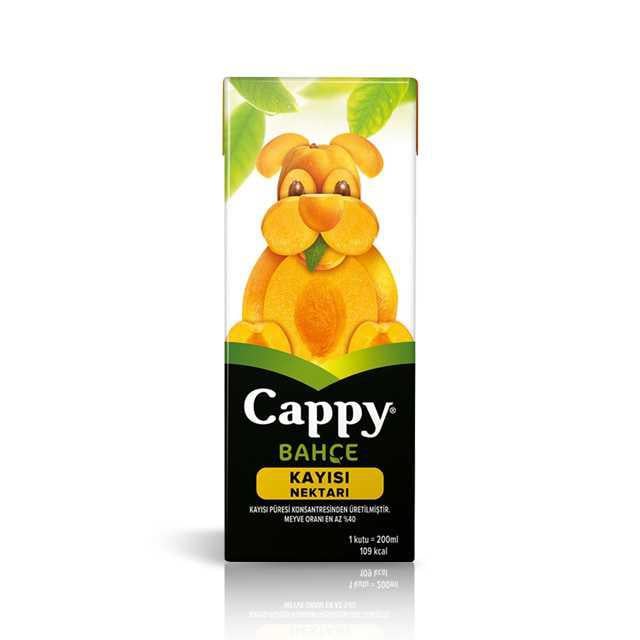 Kayısı Meyve Suyu 200 Ml. 1 Adet