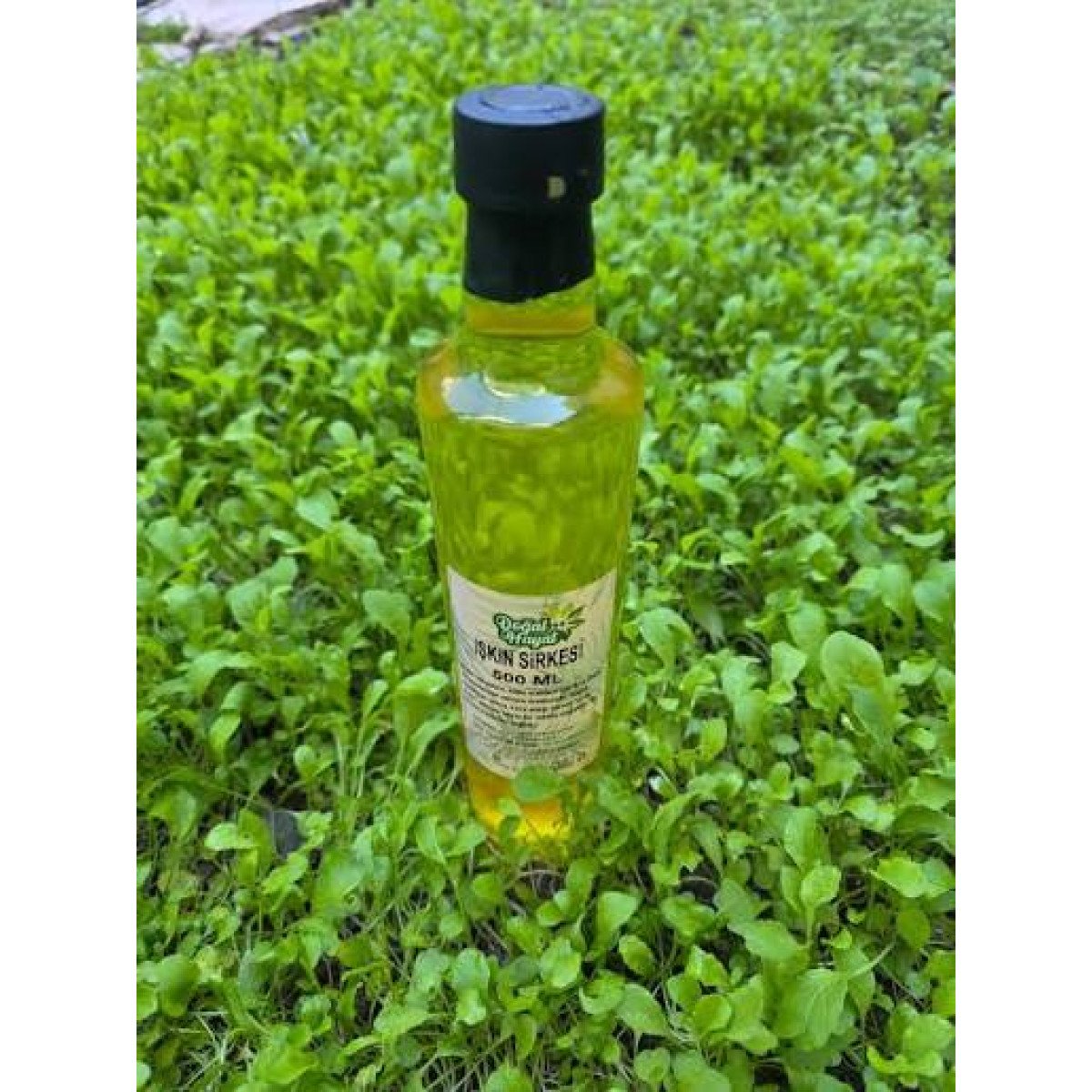 SUDE LİFE IŞGIN SİRKESİ 500 ML